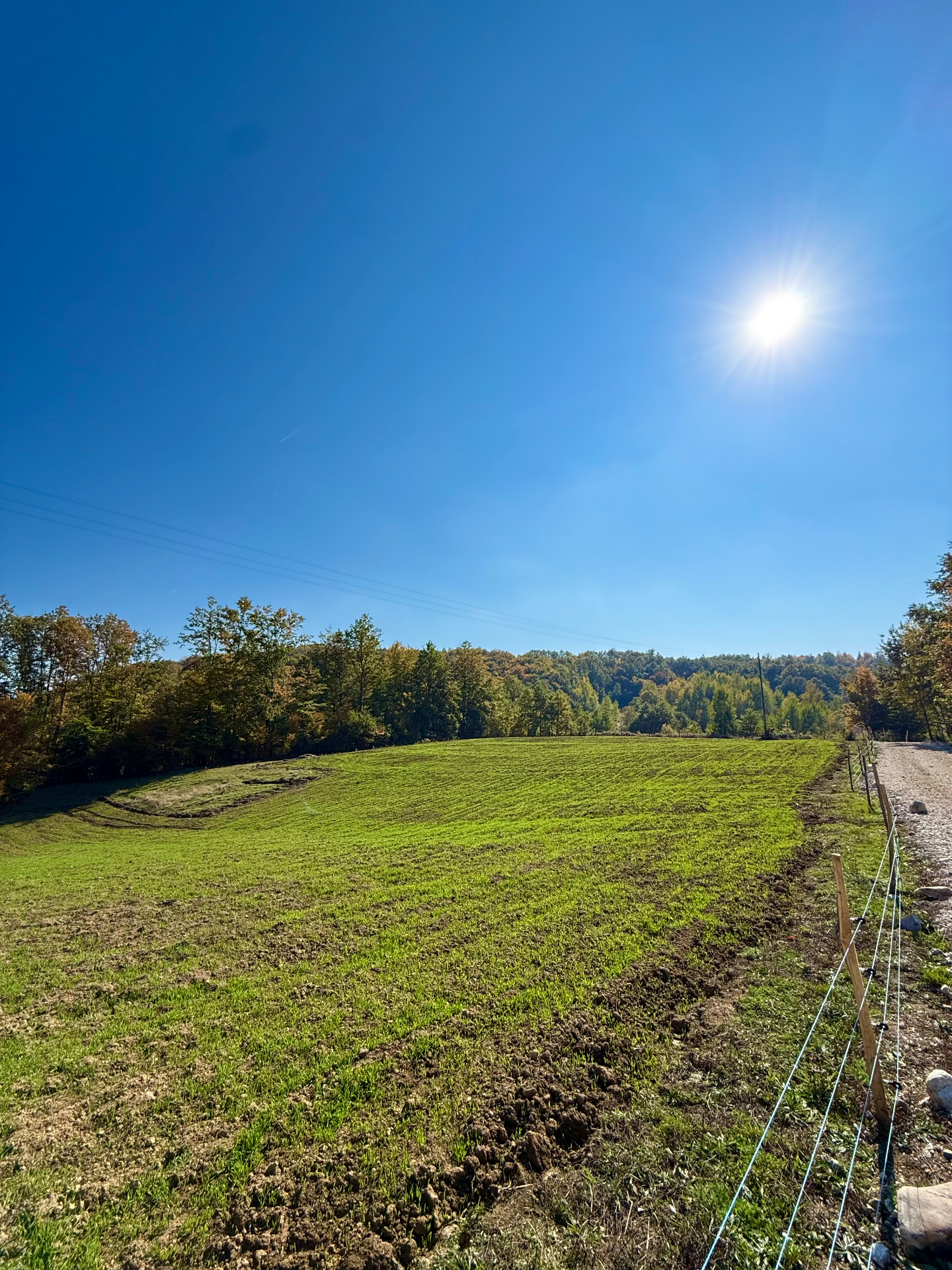 Polje porodične farme Sanmilend u Šekovićima